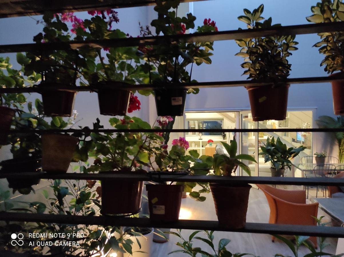 Habitacion Y Bano En Planta Independiente En Centro De Sevilla Buitenkant foto